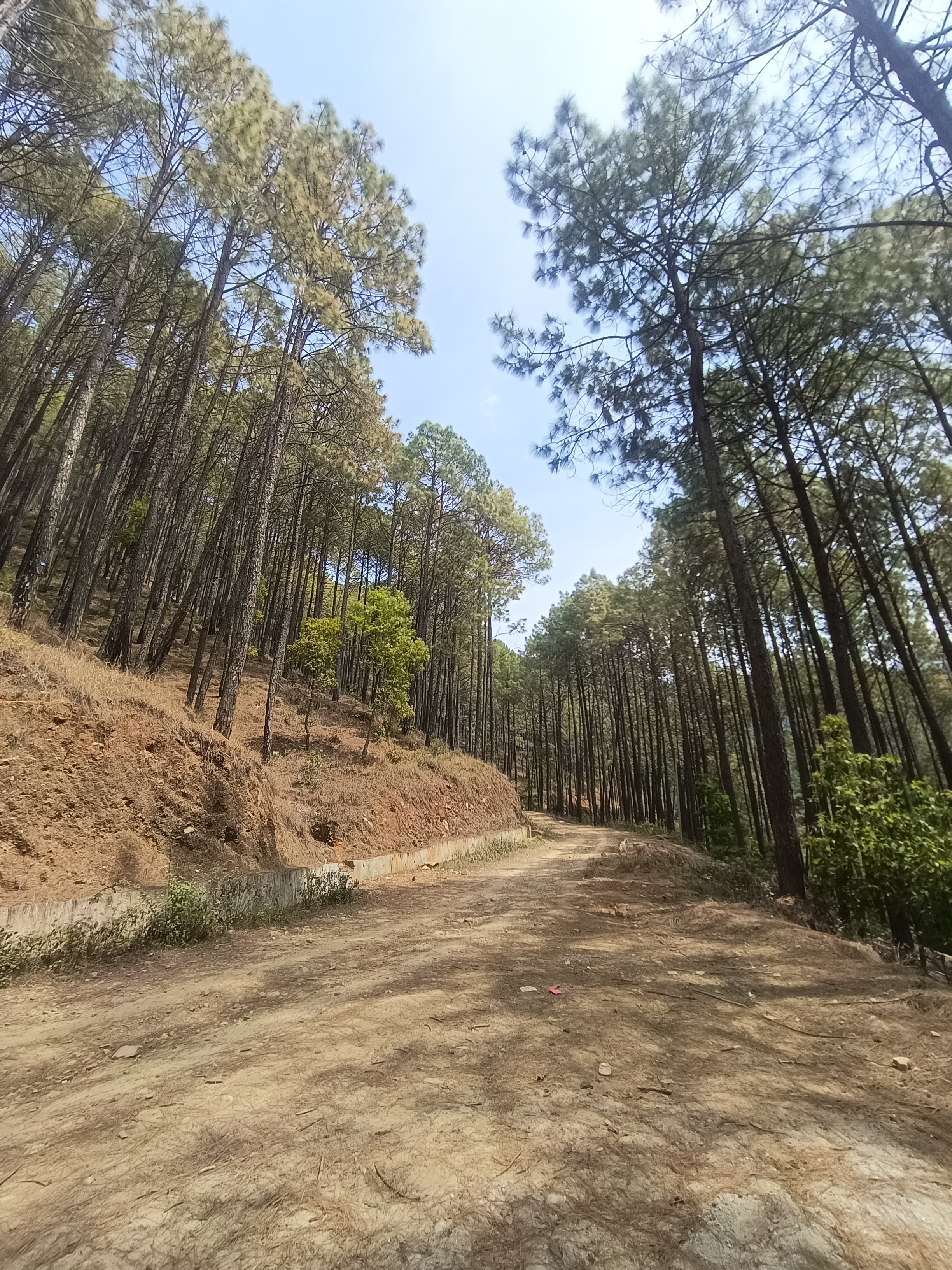 Hiking Trails
